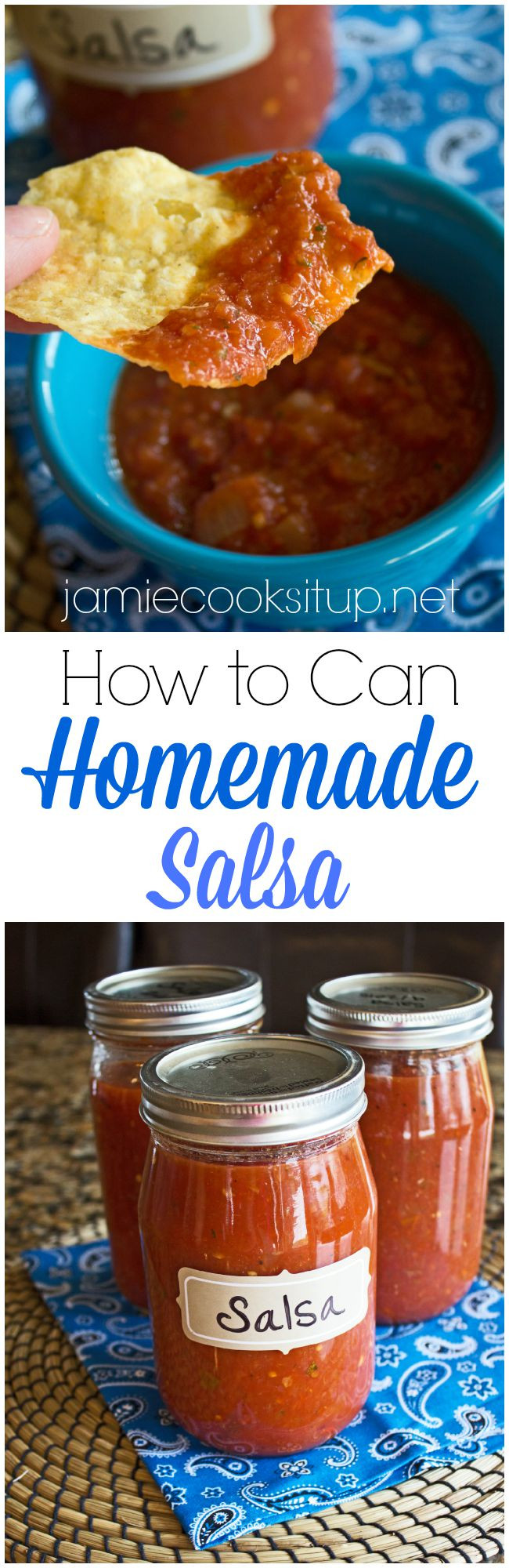 Homemade Salsa Recipe For Canning
 How to Can Homemade Salsa