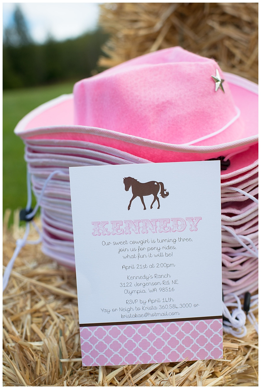 Horse Birthday Decorations
 A Pink and Brown Pony Party Hoopla Events