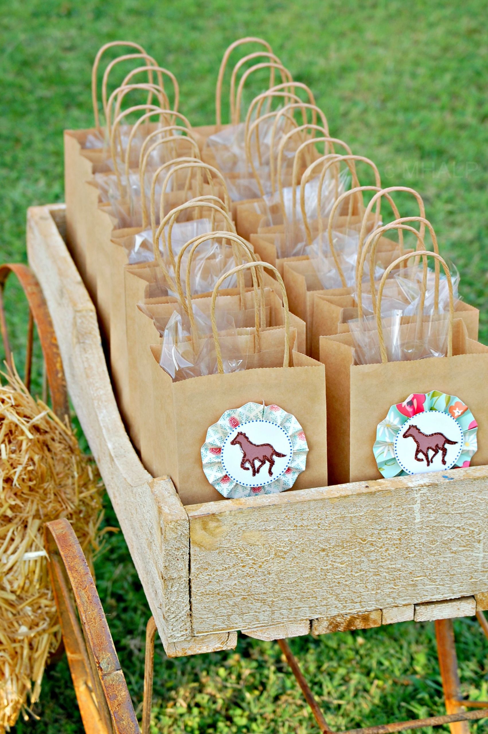 Horse Birthday Decorations
 horse party favors from Mary Had a Little Party in 2019