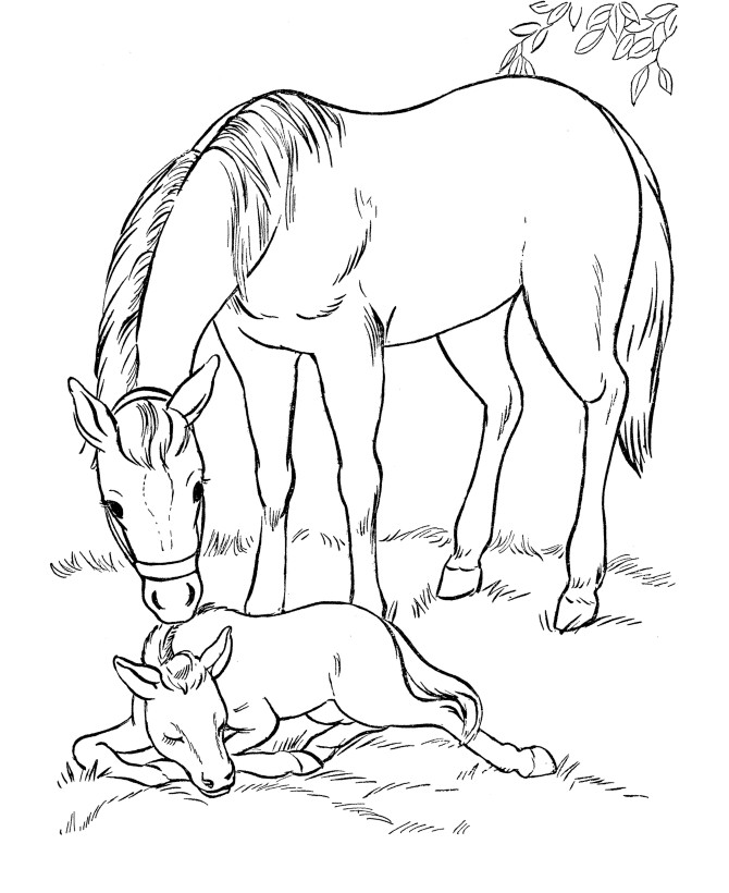 Horse Coloring Pages For Older Kids
 Coloring Pages for Kids Horse Coloring Pages