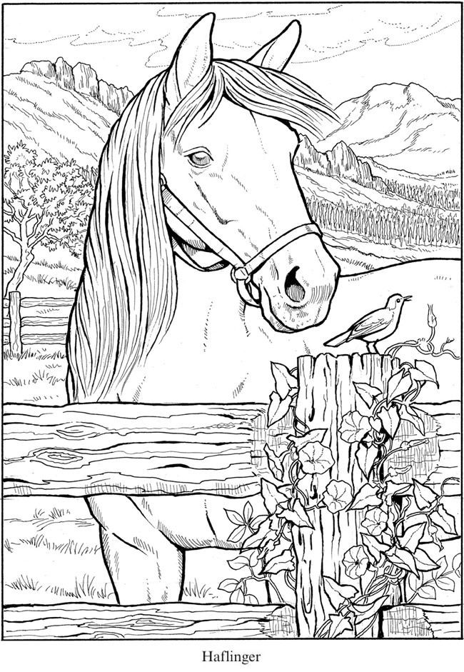 Horse Coloring Pages For Older Kids
 Pin by jenny Culligan on Line s
