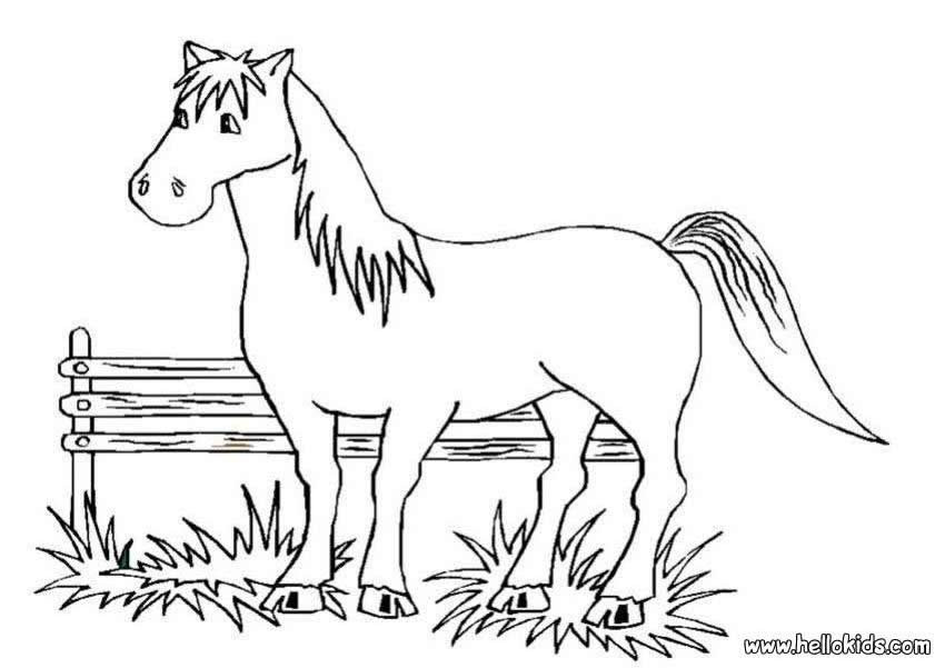 Horse Coloring Pages For Older Kids
 Ausmalbilder zum Ausdrucken Ausmalbilder Pferde