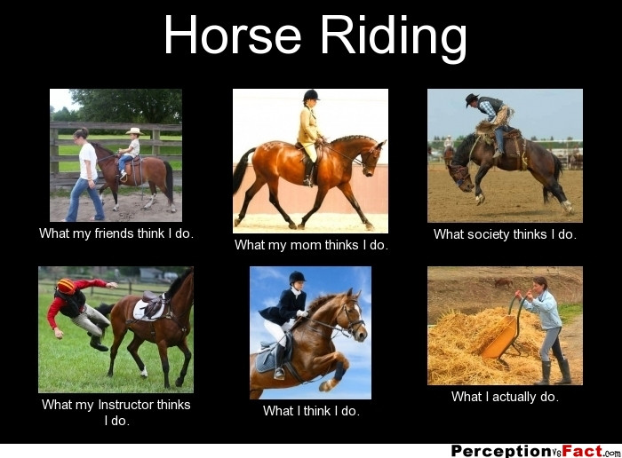 Horse Quotes Funny
 Horse Riding Quotes And Quotes QuotesGram