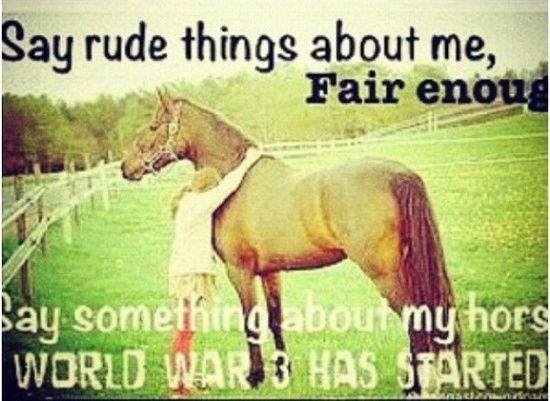 Horse Quotes Funny
 Horse Racing Quotes Funny QuotesGram