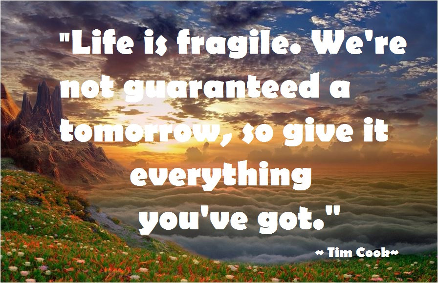 Images And Quotes On Life
 Life Is Fragile Quotes QuotesGram