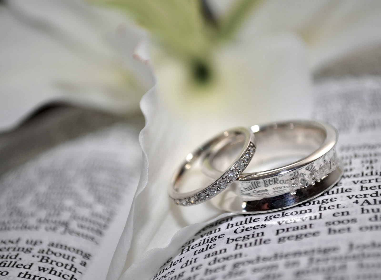 Images Of Wedding Rings
 Lady Bee Productions