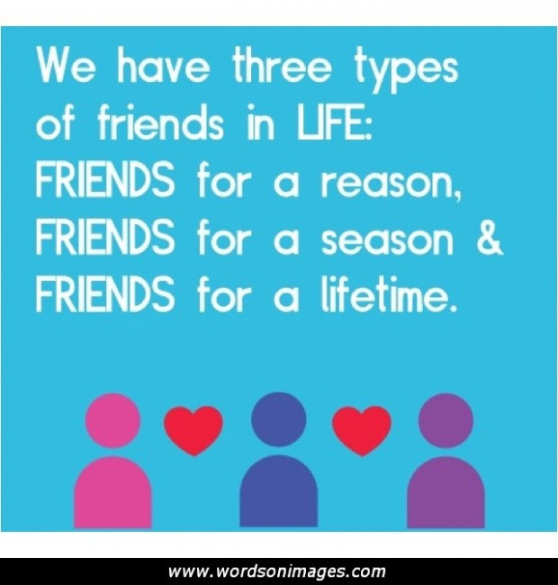 Importance Of Friendship Quotes
 Importance Friendship Quotes QuotesGram