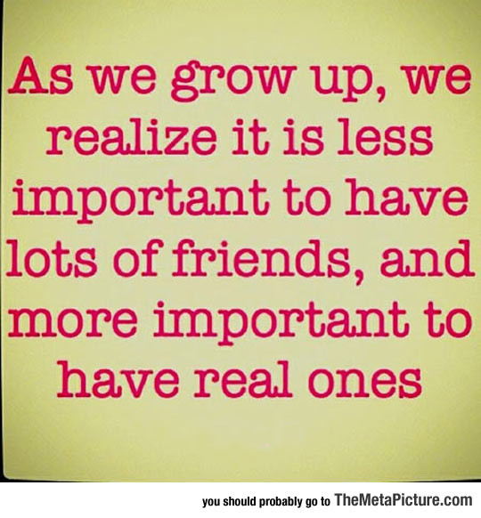 Importance Of Friendship Quotes
 The Importance Friends