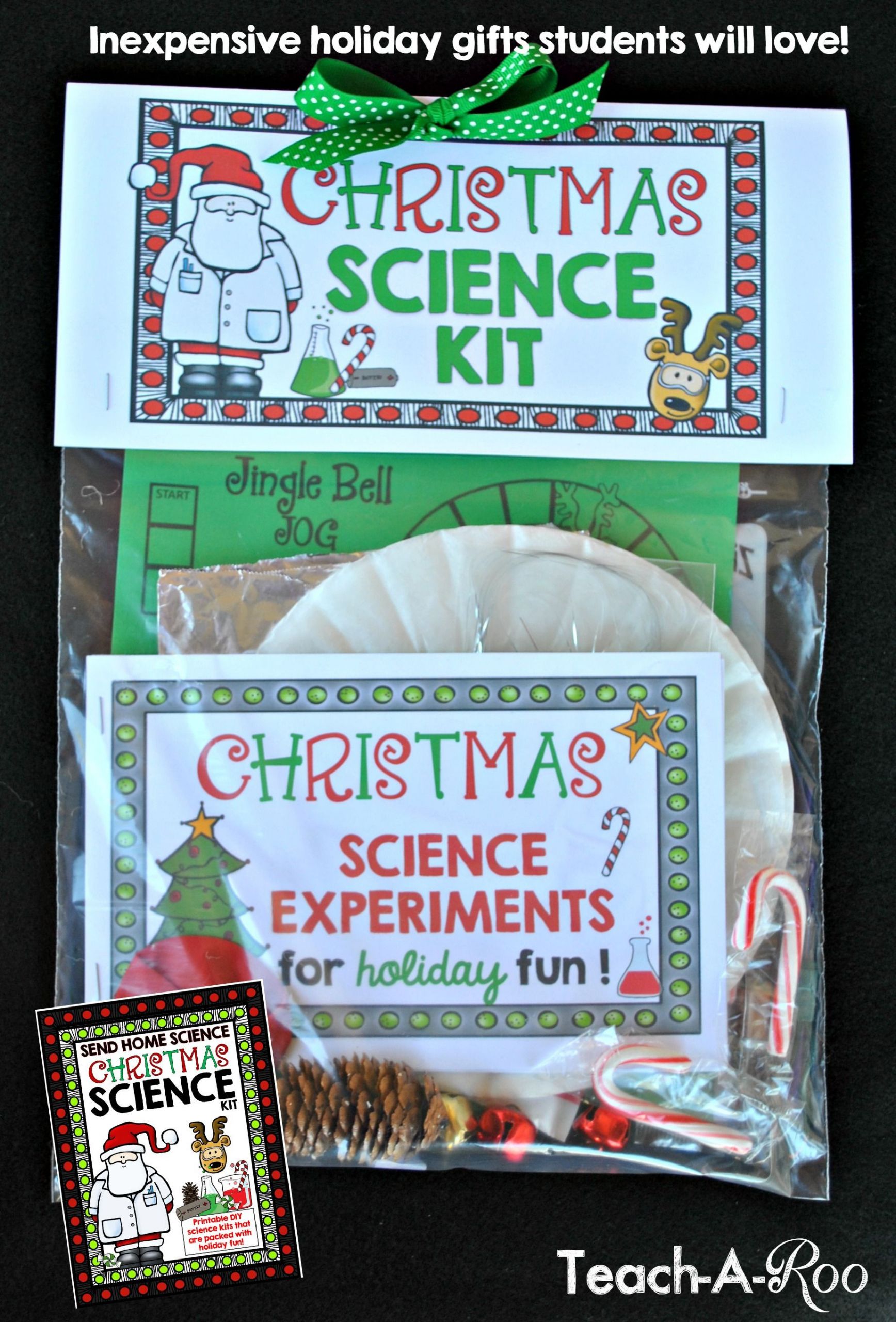Inexpensive Gifts For Kids
 These make such unique and inexpensive holiday ts for