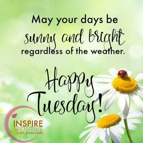 Inspirational Quote For Tuesday
 Happy Tuesday Quotes and