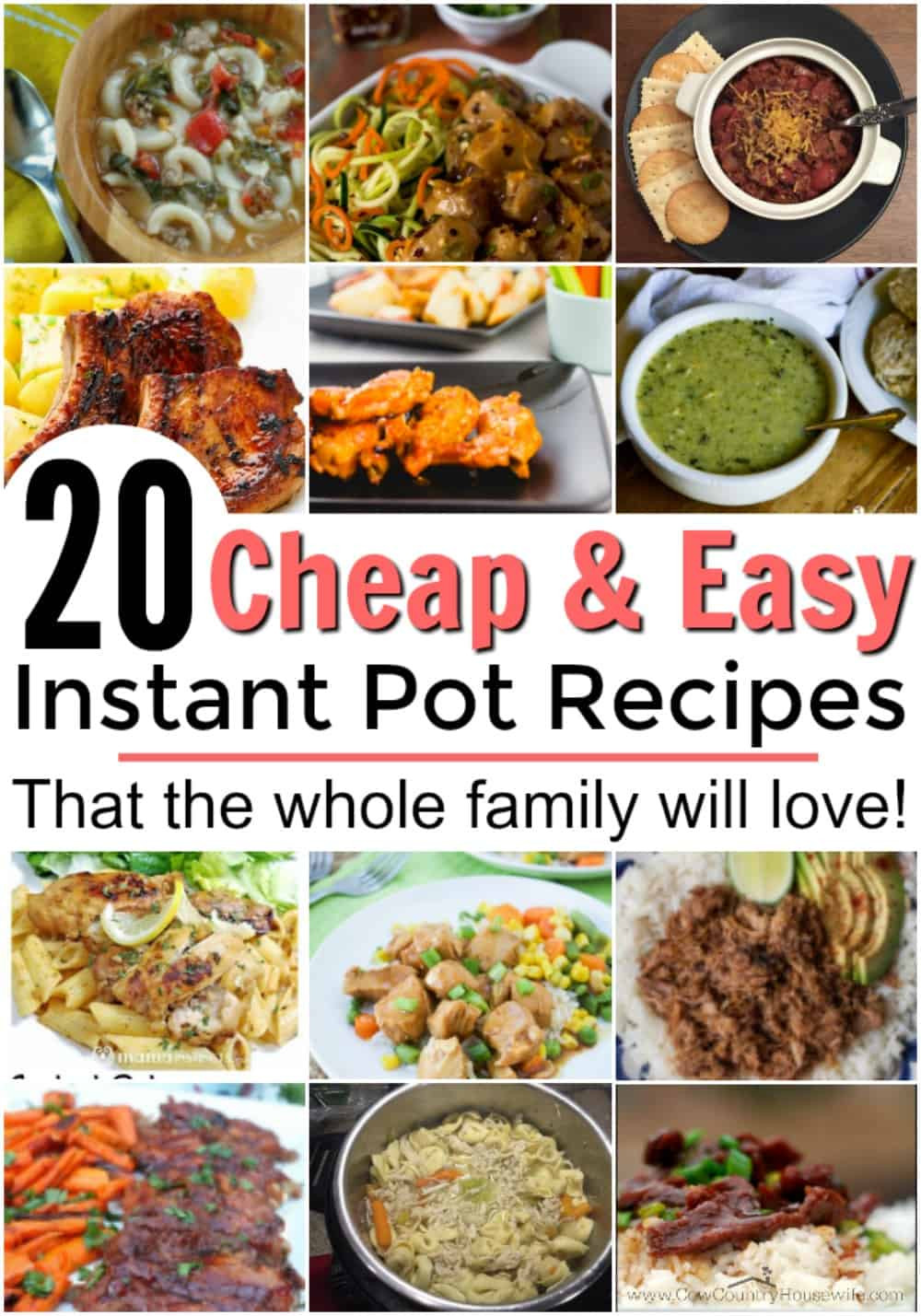 Instant Pot Recipes One Pot
 Cheap and Easy Instant Pot Recipes