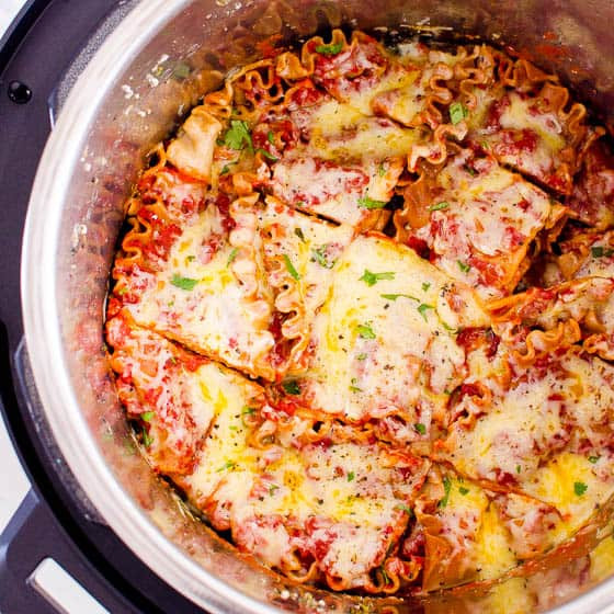 Instant Pot Springform Pan Recipes
 Instant Pot Lasagna Video No Springform Pan