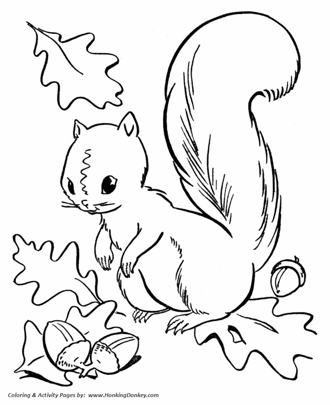 Kids Coloring Pages Fall
 Fall Coloring pages Squirrel Collecting Acorns Coloring