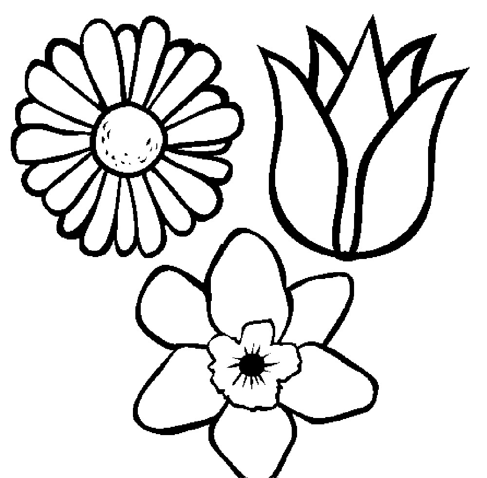 Kids Coloring Pages Flowers
 Coloring Pages Flower Pot Coloring Page Printable Kids