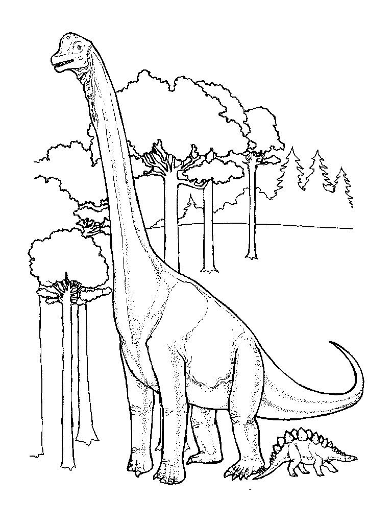 Kids Dinosaur Coloring Pages
 Free Printable Dinosaur Coloring Pages For Kids