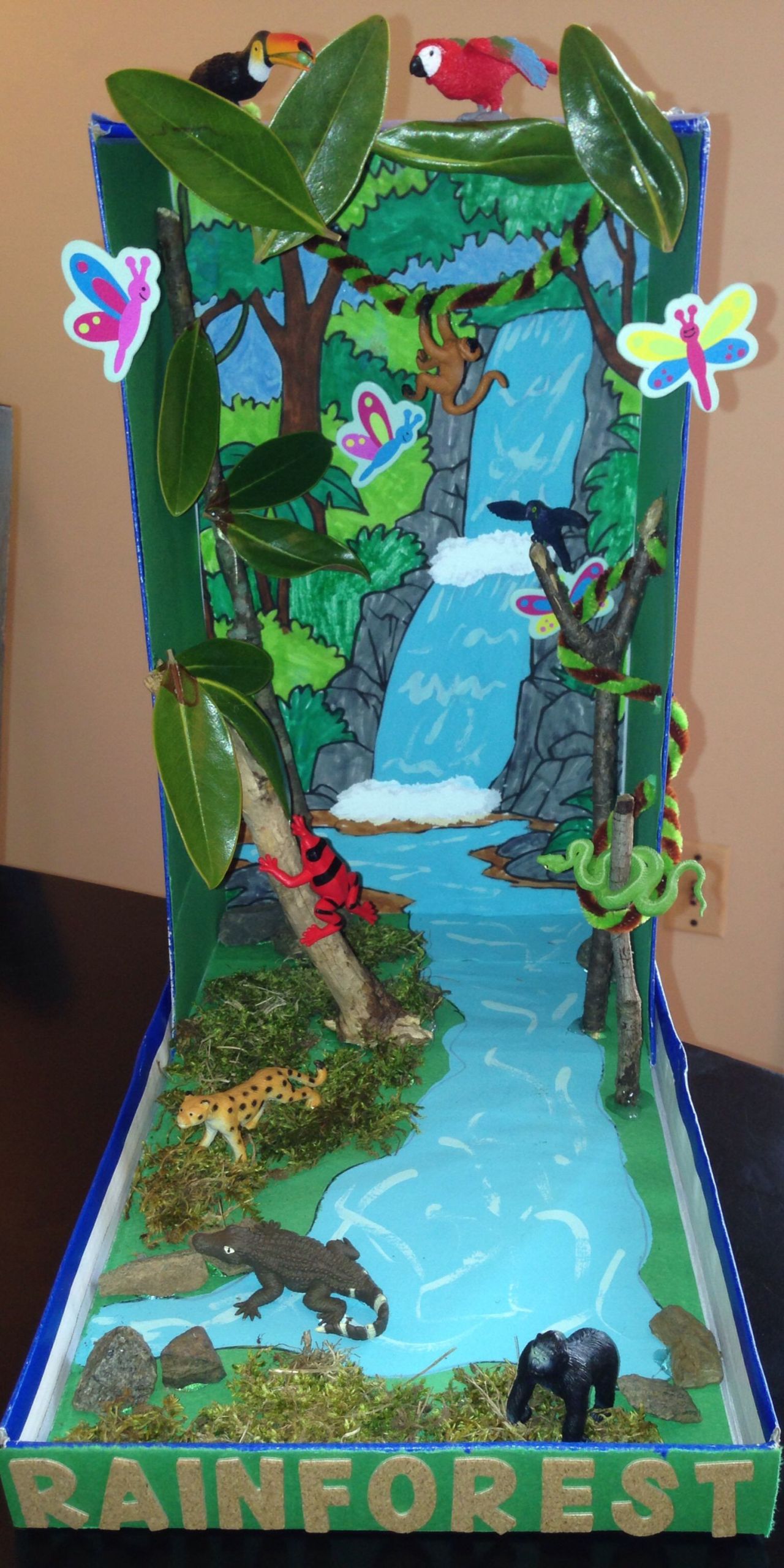 Kids Project Ideas
 Rainforest Diorama our final product My son Samy is