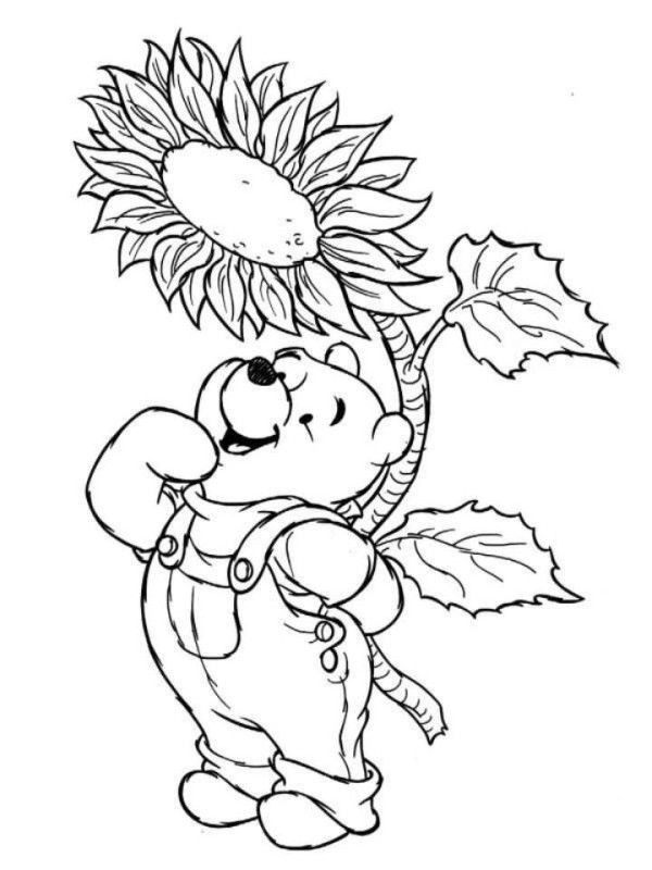 Kids Spring Coloring Pages
 Winnie The Pooh Disney Spring Coloring Pages Disney