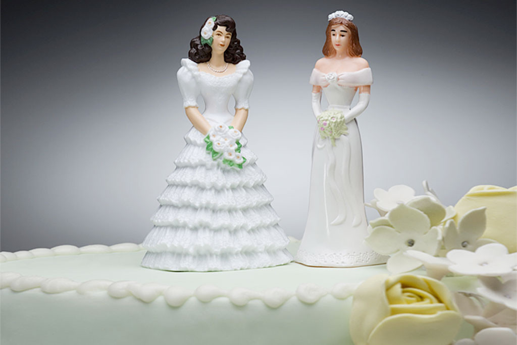 Lesbian Wedding Cake
 How "Gays" Destroy Lives and Love It crime Jesus county