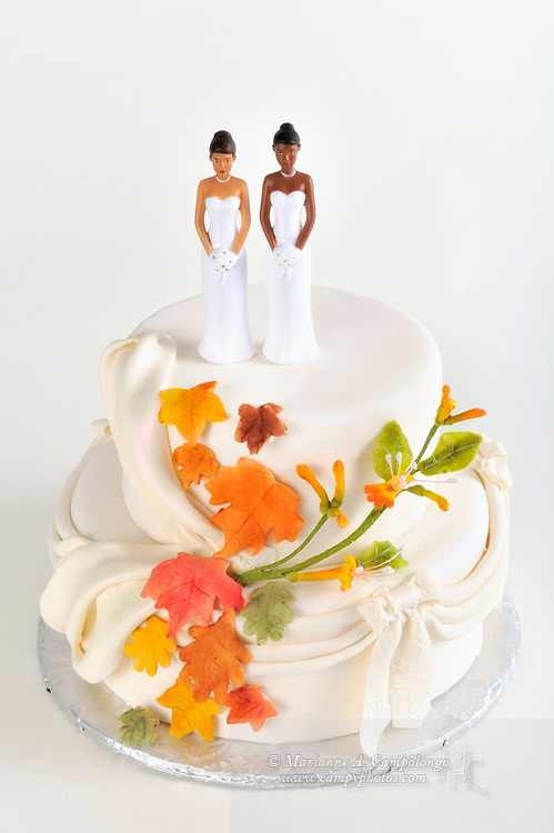 Lesbian Wedding Cake
 814 best Lesbian Weddings images on Pinterest