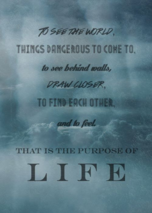 Life Magazine Quotes
 The Secret Life Walter Mitty Purpose Life Quotes