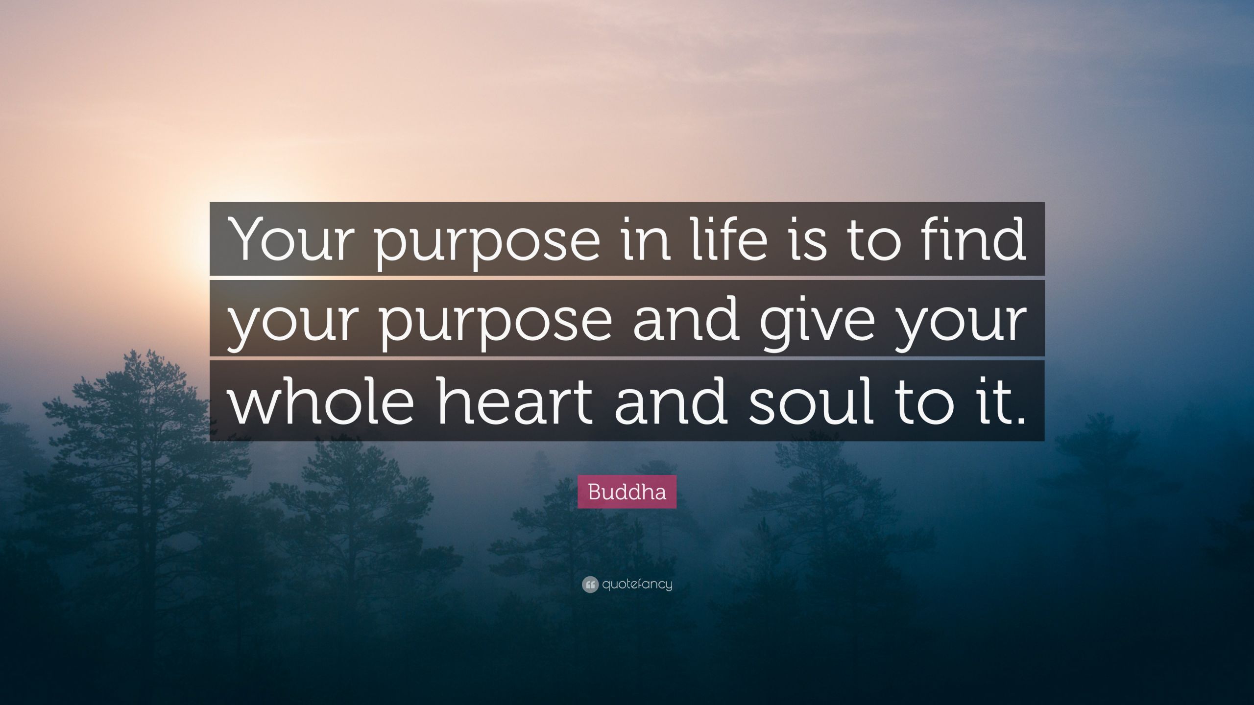 Life Purpose Quotes
 Buddha Quote “Your purpose in life is to find your