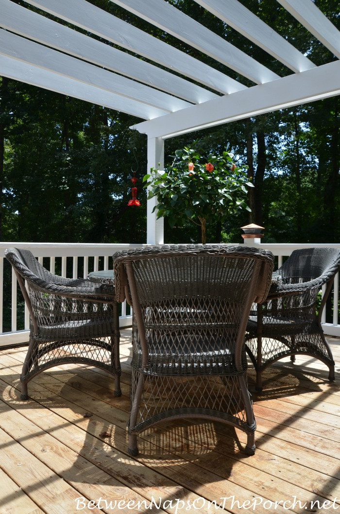 Long Lasting Deck Paint
 Stain Your Deck With An Oil Based Stain For Long Lasting