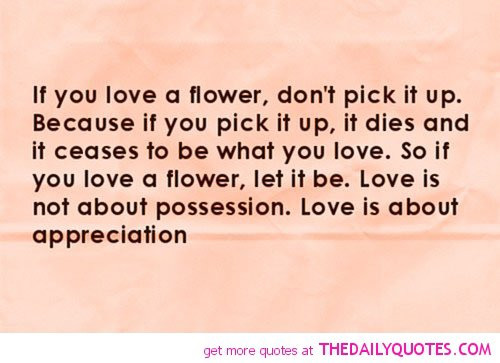 Love And Appreciation Quotes
 Love And Appreciation Quotes QuotesGram