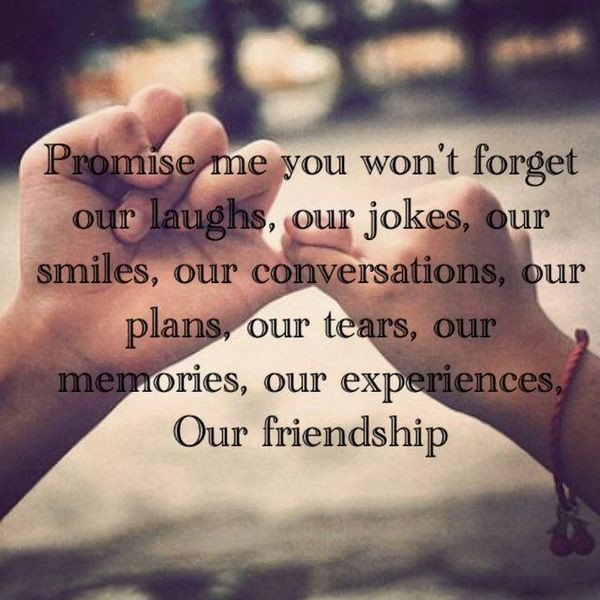 Love Your Friendship Quotes
 Best Friend Quotes Friendship Sayings