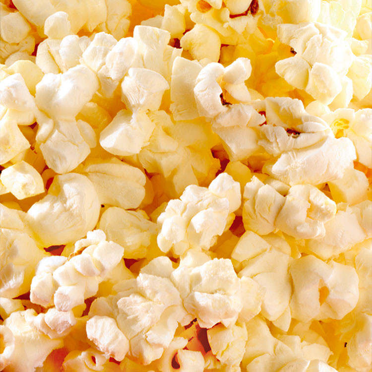 Low Calorie Popcorn Recipes
 SmartPop Low Fat Popcorn a Low Calorie Snack