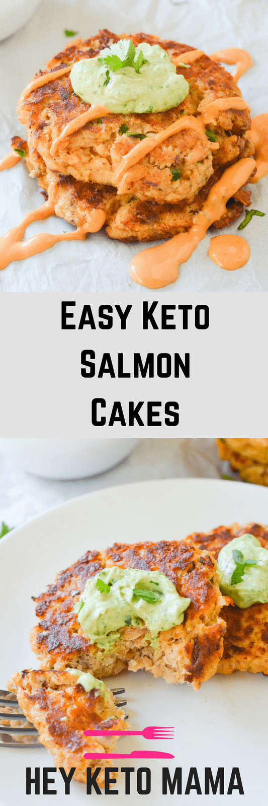 Low Carb Canned Salmon Recipes
 Easy Keto Salmon Cakes Recipe To health