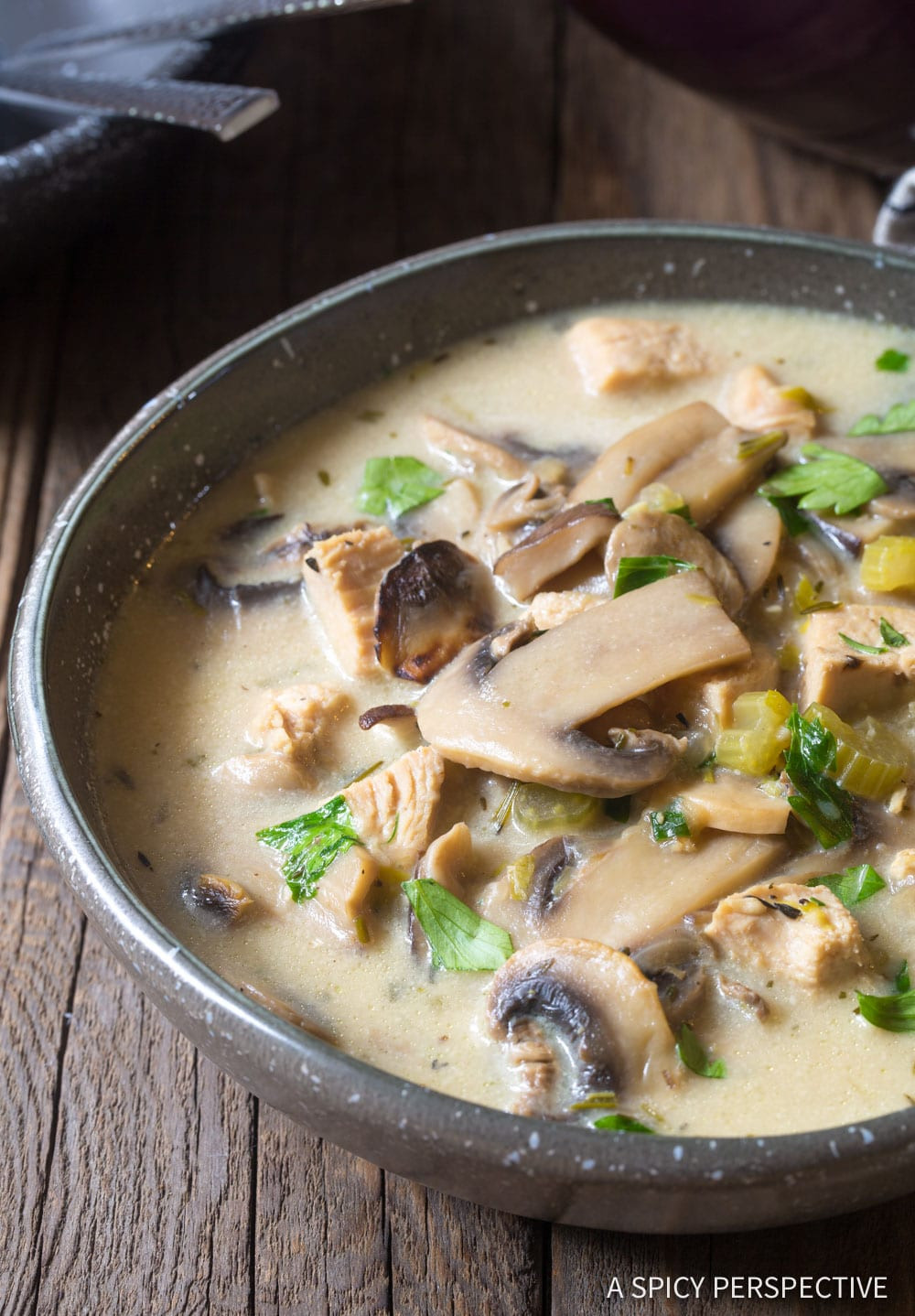 Low Carb Cream Of Chicken Soup
 Low Carb Creamy Chicken Mushroom Soup Video A Spicy