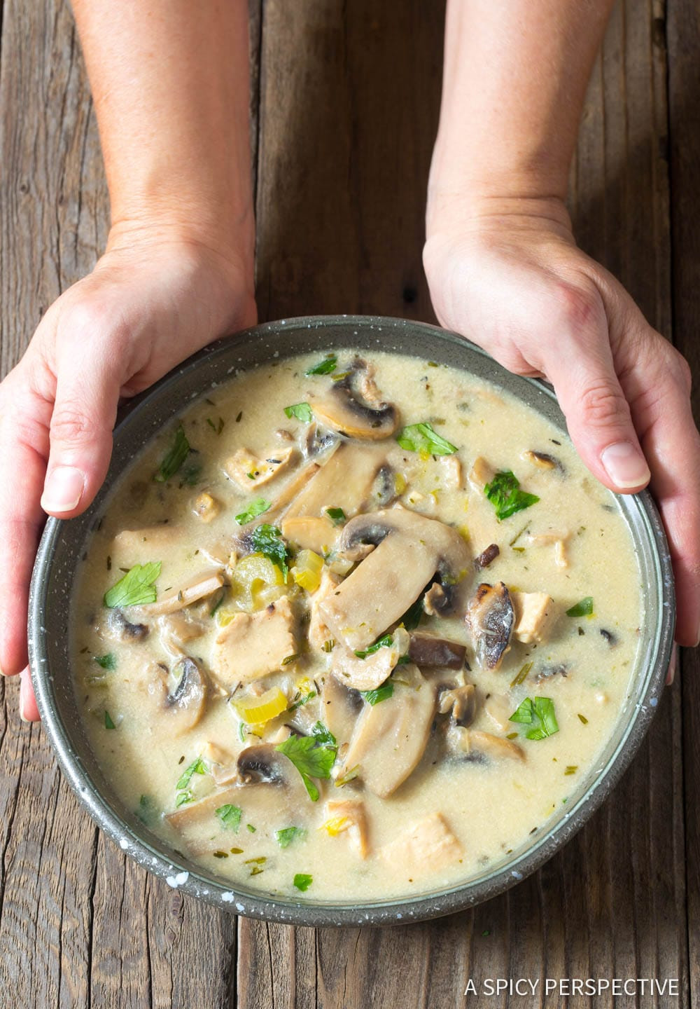 Low Carb Cream Of Chicken Soup
 Low Carb Creamy Chicken Mushroom Soup Video A Spicy