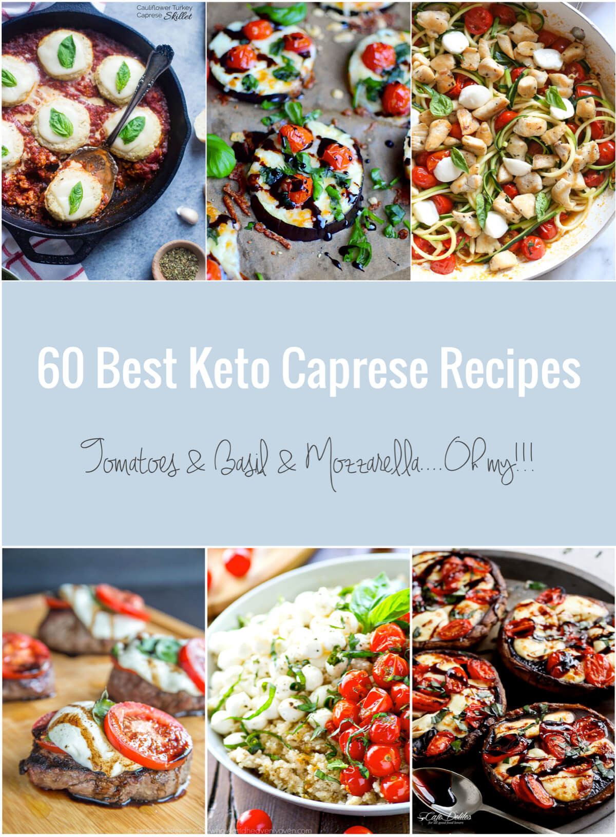 Low Carb Recipes Kid Friendly
 60 Best Keto Caprese Recipes Low Carb