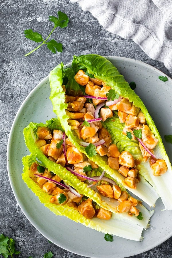 Low Carb Recipes Kid Friendly
 Barbecue Chicken Lettuce Wraps