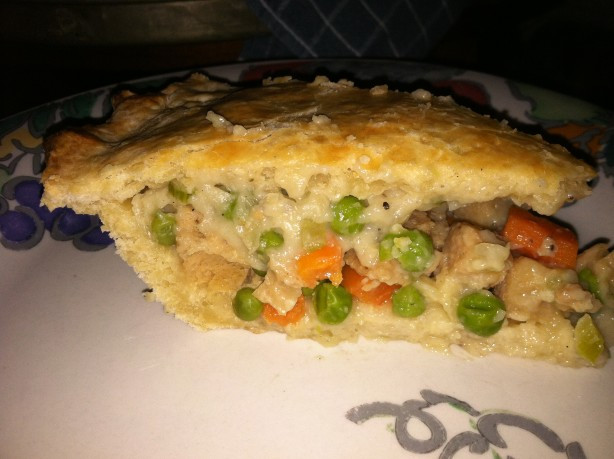 Low Cholesterol Food Recipes
 Chicken Pot Pie No Cholesterol And Extremely Low In Fat