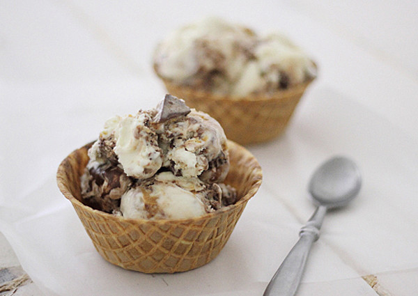 Low Fat Ice Cream Recipes For Cuisinart Ice Cream Makers
 Fat Elvis Ice Cream Recipe