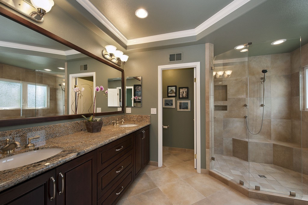 Master Bathroom Shower Ideas
 Luxurious Master Bathrooms Design Ideas With