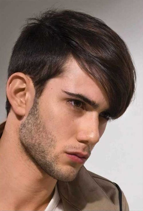 Mens Easy Hairstyles
 25 Simple Haircuts for Mens 2018