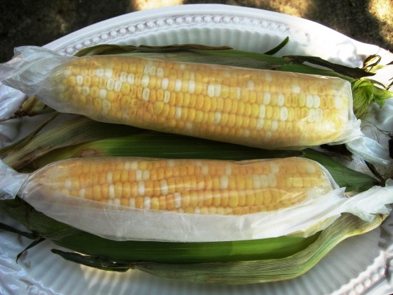 Microwave Corn On Cob In Husk
 microwave corn on the cob without husk recipe