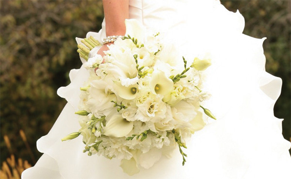 Modern Wedding Flowers
 Floral Designers