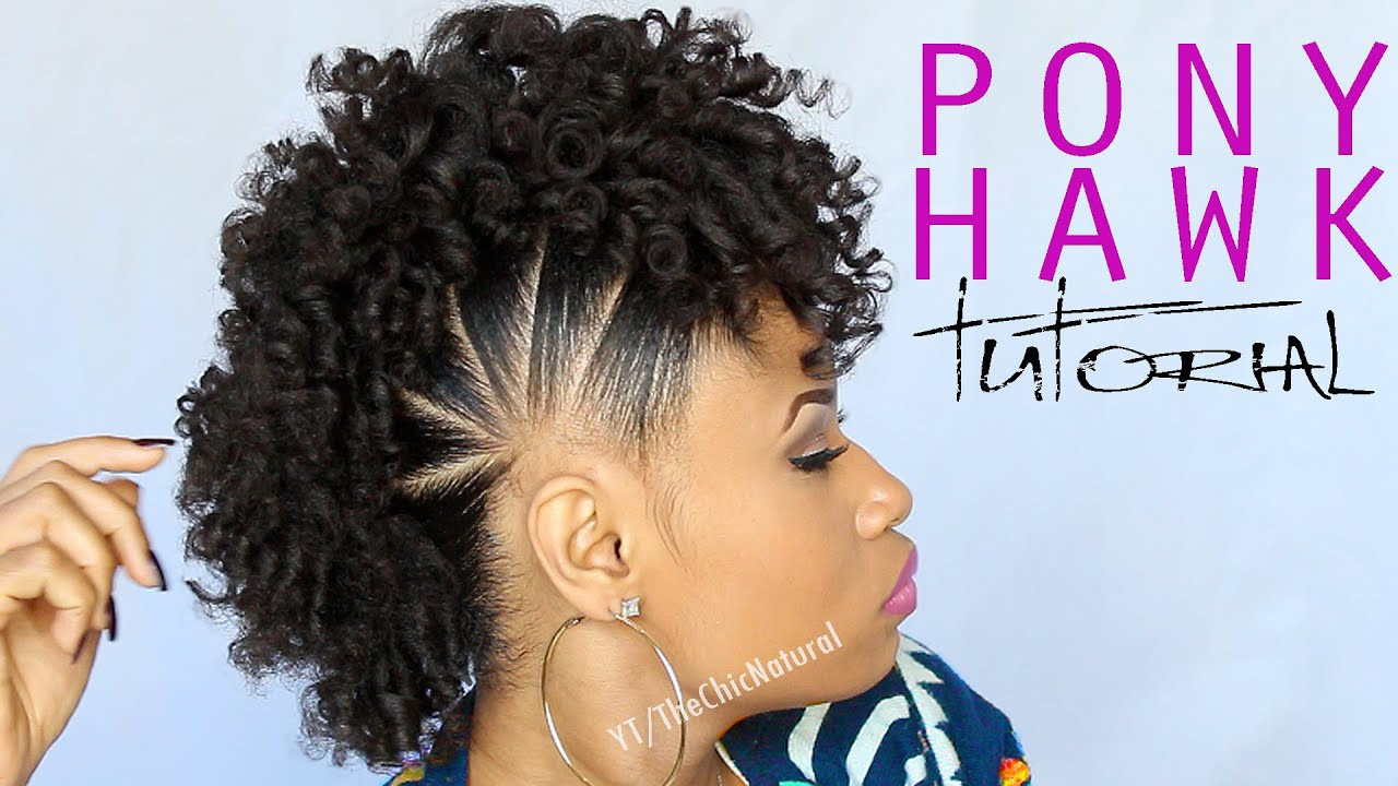 Mohawk Natural Hairstyles
 THE PONY HAWK