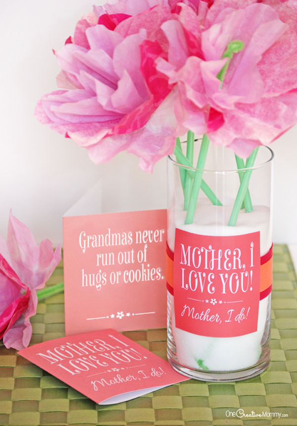 Mother Days Gift Ideas
 Cute Mother s Day Gift Idea and Printables
