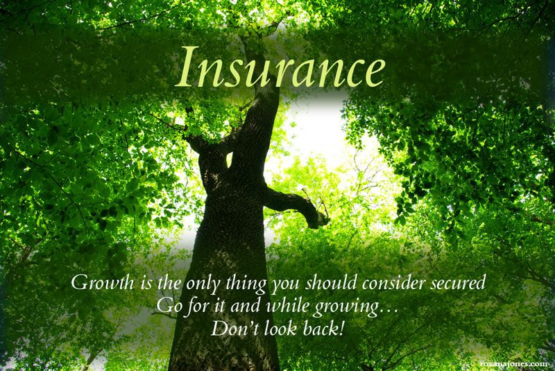 Motivational And Inspiring Quotes
 Inspirational Quotes About Insurance QuotesGram