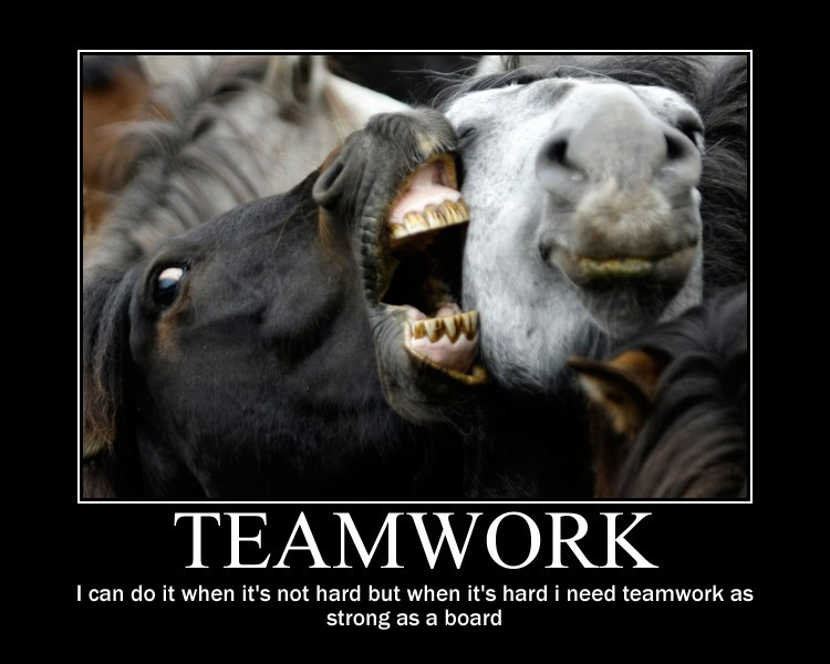 Motivational Teamwork Quotes
 Funny Motivational Quotes About Teamwork QuotesGram
