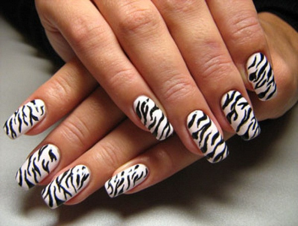 Nail Designs Zebra
 40 Cute and Easy Nail Art Designs for Beginners Easyday