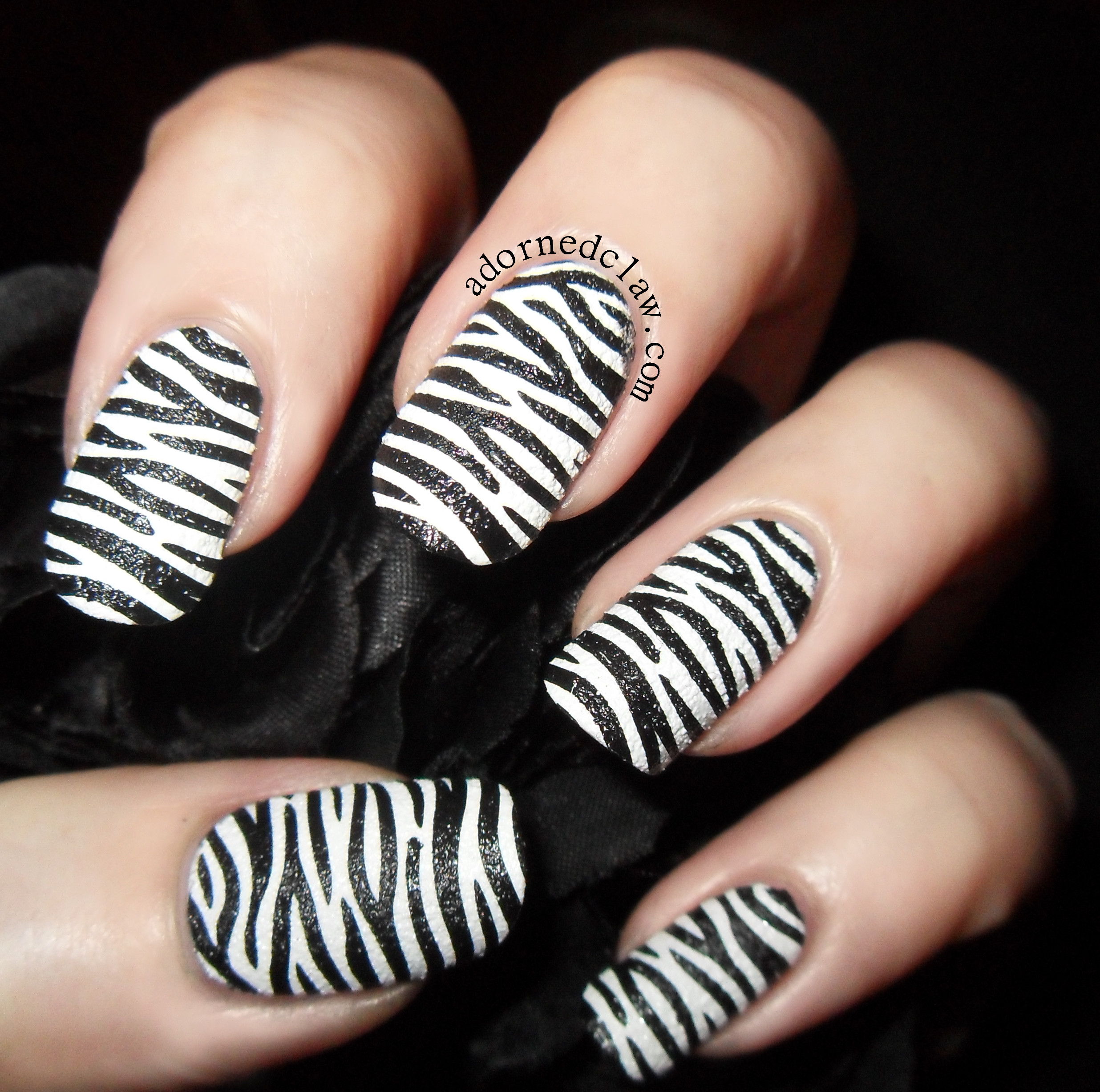 Nail Designs Zebra
 zebra