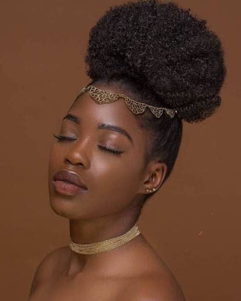 Natural Bun Hairstyles
 37 Gorgeous Natural Hairstyles For Black Women Quick