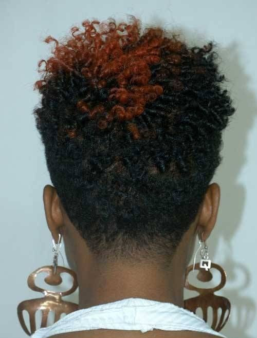Natural Hairstyle For Black Hair
 Very Short Natural Hairstyles for Black Women
