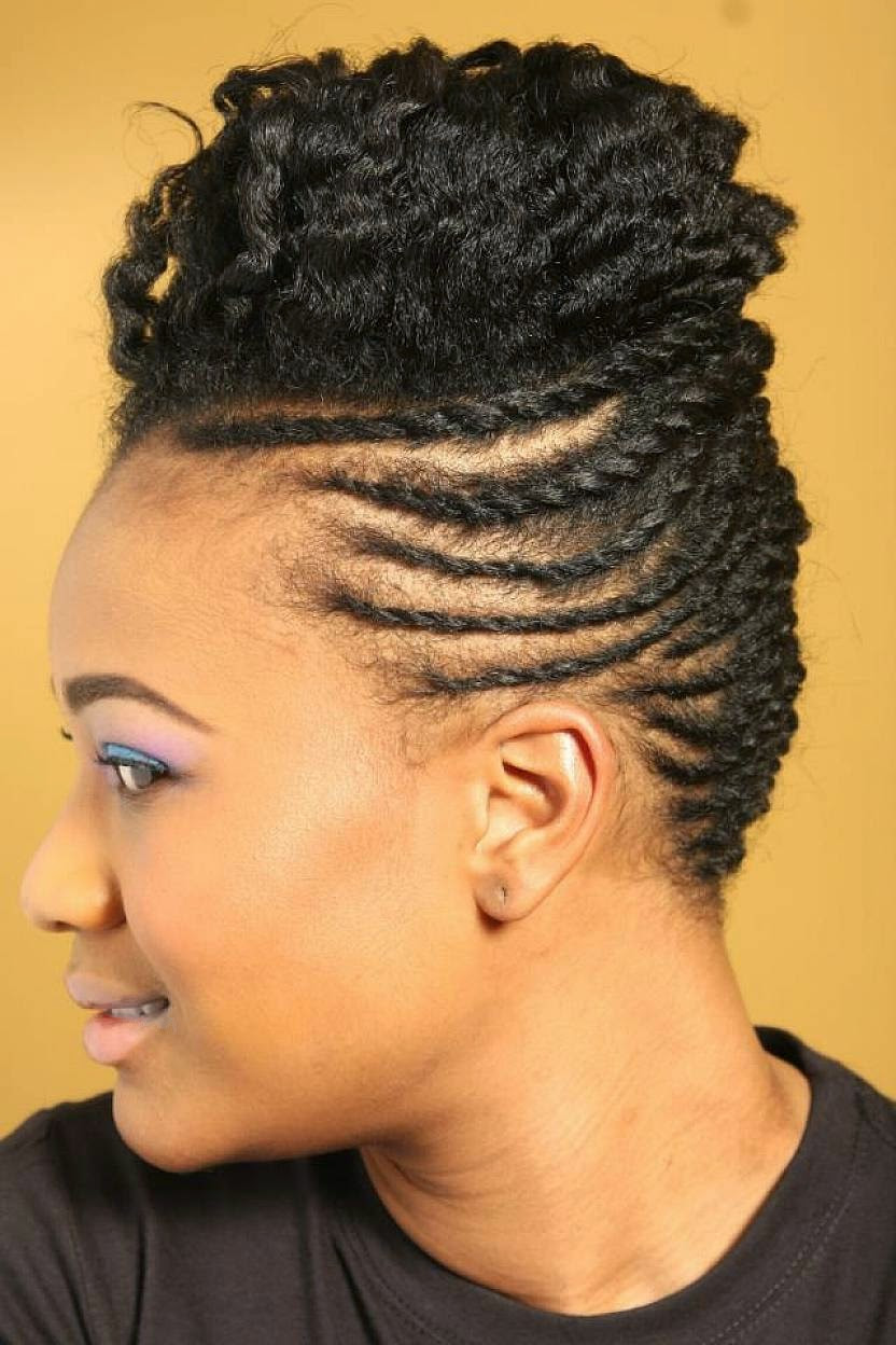 Natural Hairstyle For Black Hair
 Top 39 Easy Braided Natural Hairstyles
