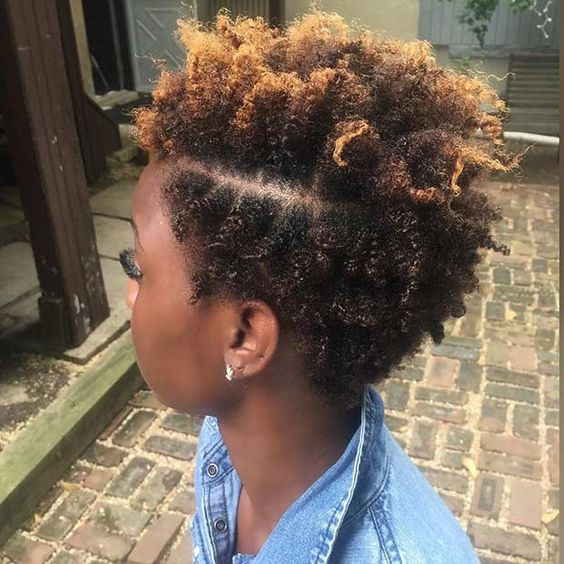 Natural Hairstyle For Black Hair
 40 New and Trendy Natural Hair Styles